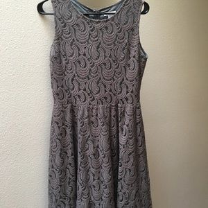 Garnet Hill Gray lace knee length dress